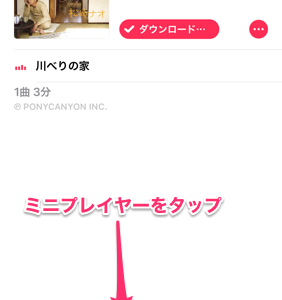 iPhoneの「ミュージック」に歌詞を表示させる方法（Lyrics Master 2）